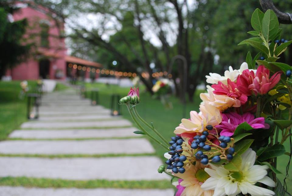 Galería de imágenes