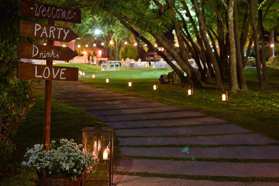 Galería de imágenes