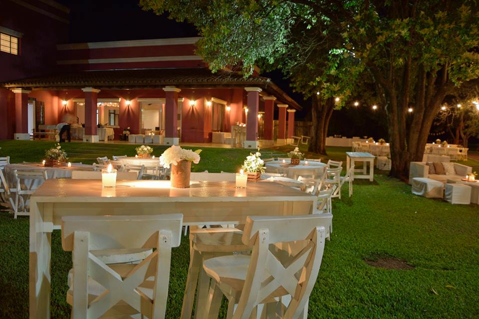 Galería de imágenes