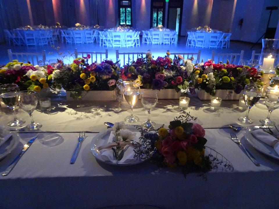 Galería de imágenes