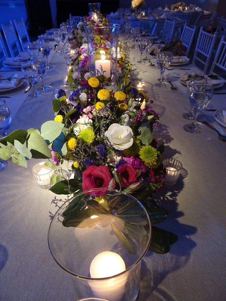 Galería de imágenes