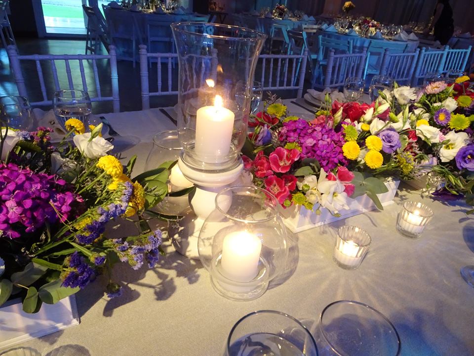 Galería de imágenes