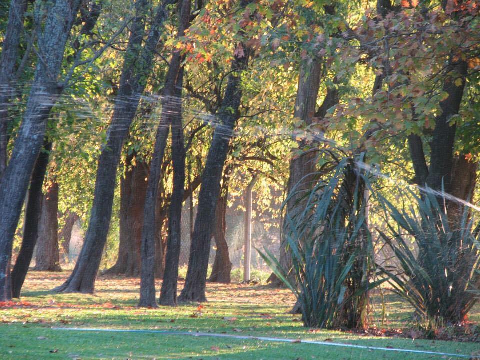 Galería de imágenes