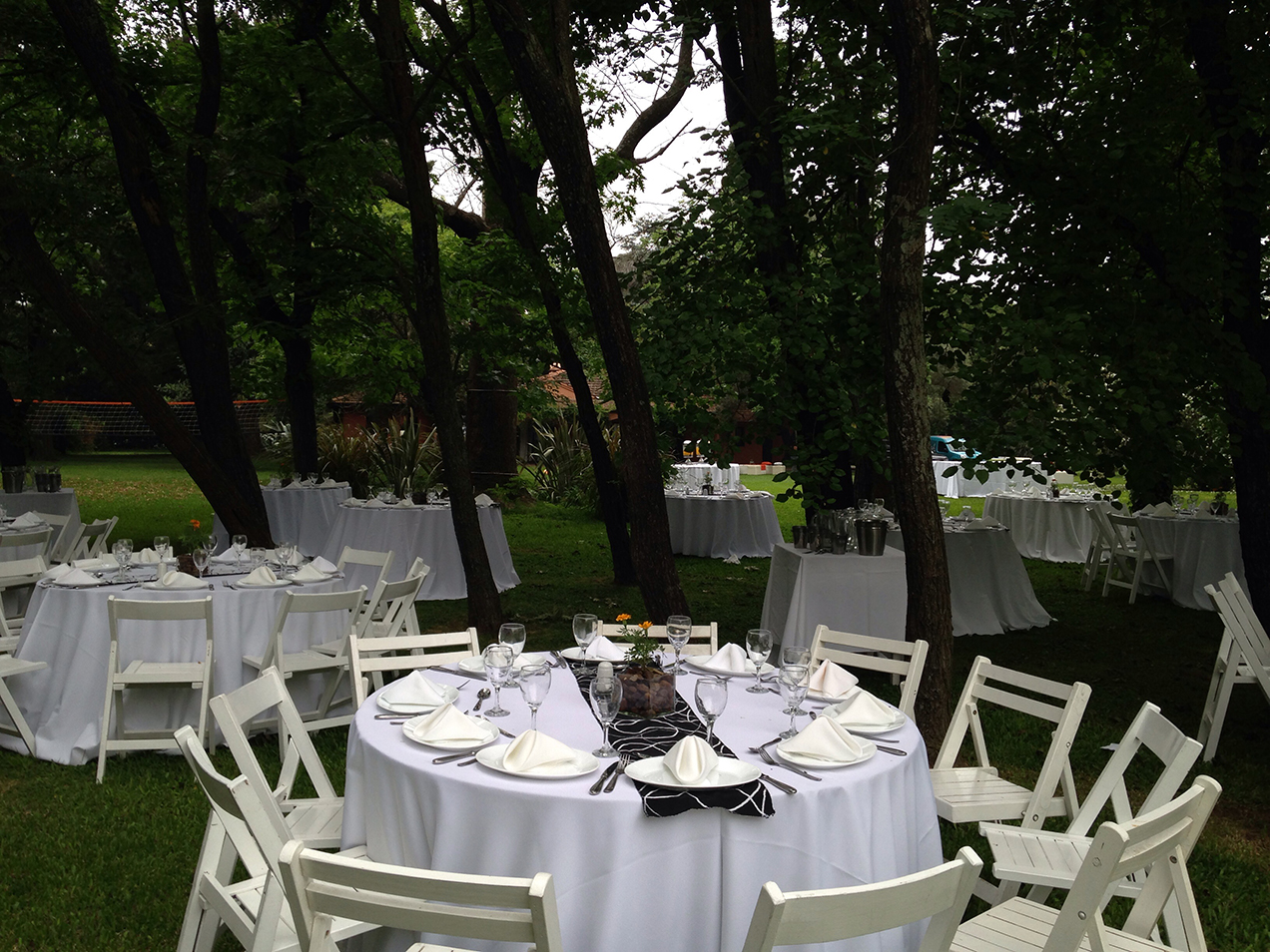 Galería de imágenes