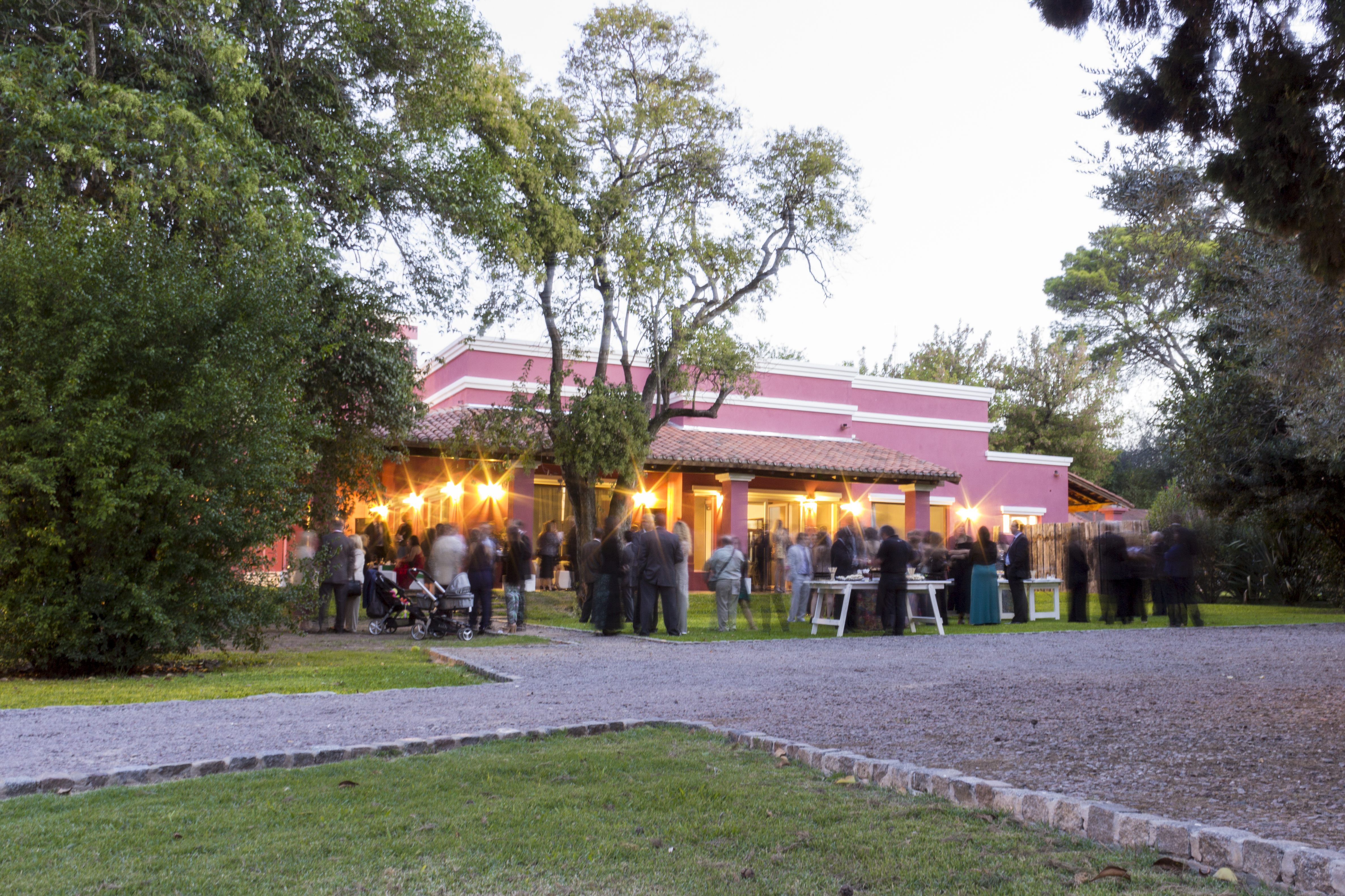 Galería de imágenes