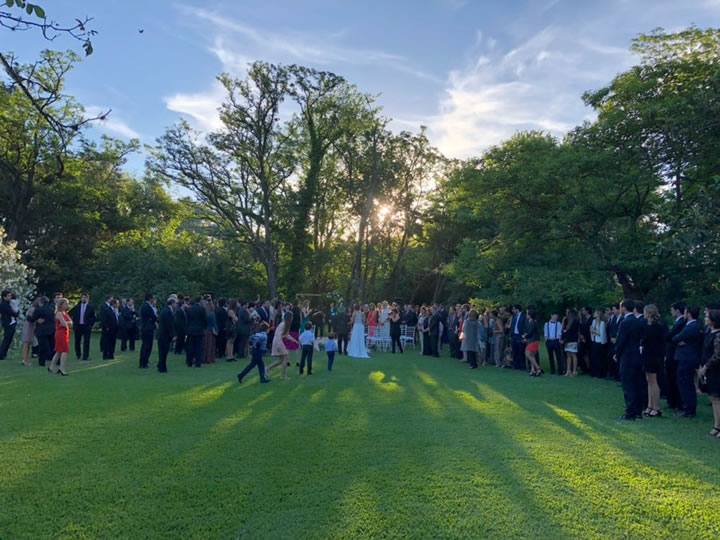 Galería de imágenes