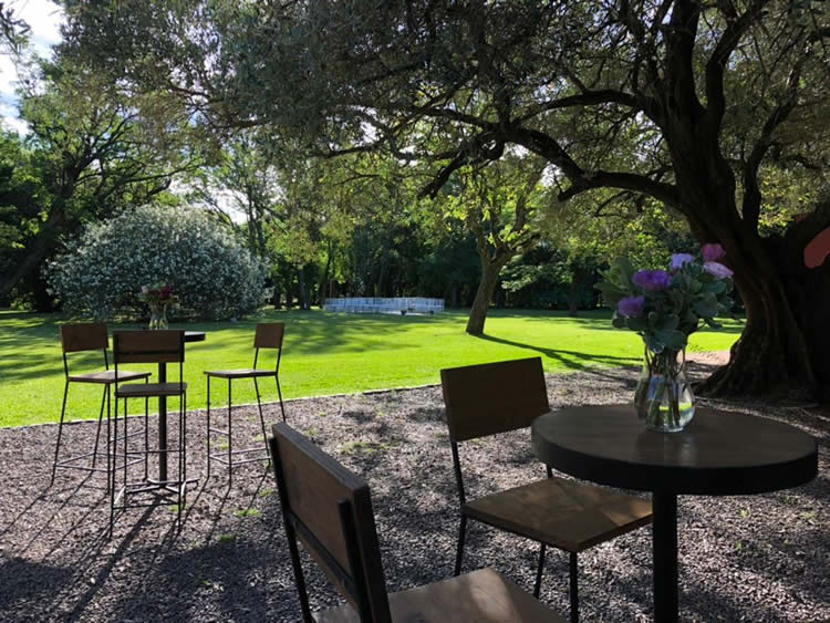 Galería de imágenes