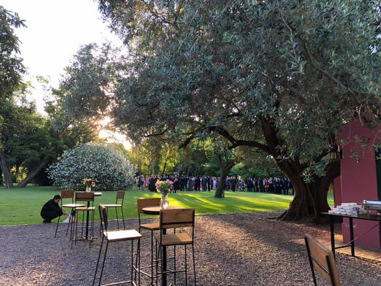 Galería de imágenes